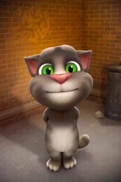GATO TOM DICE COITO