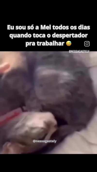 eu_nvr