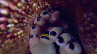 My Feet