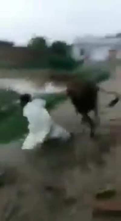 Meanwhile in Pakistan