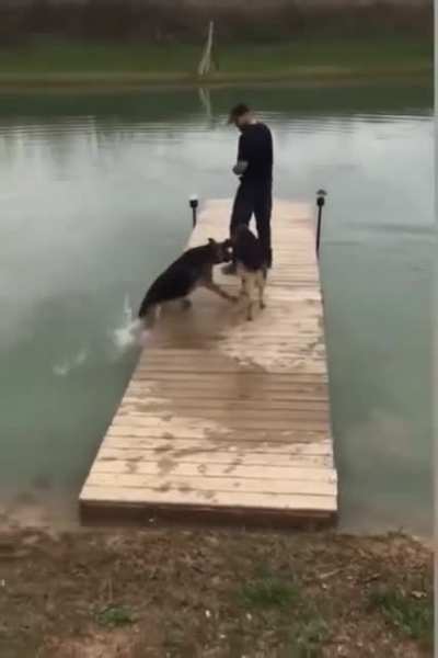 Woof_irl