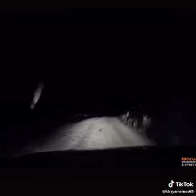 Fuckin roo