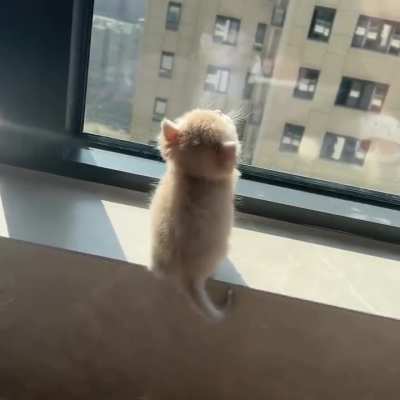 Enjoying the sun