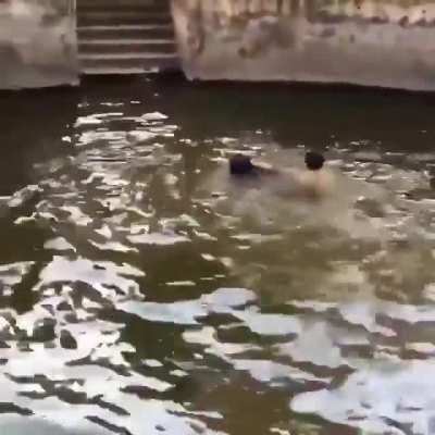 This man pretended to drown to see if his dog would save him