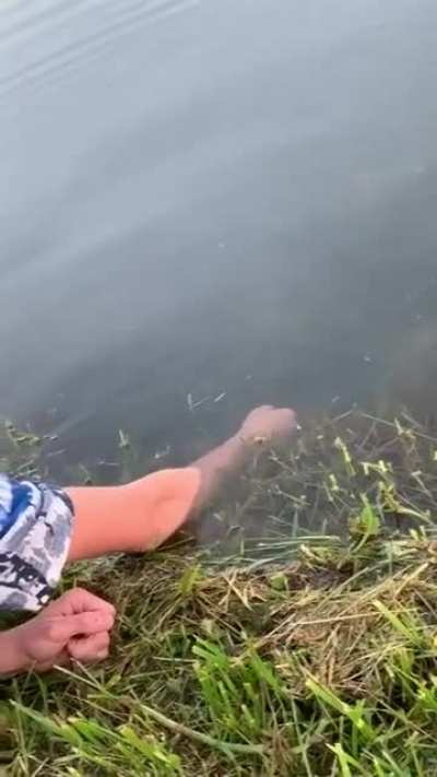 Ловля рыбы на руку