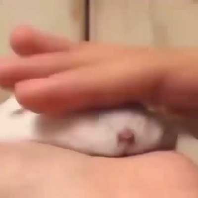 🤨