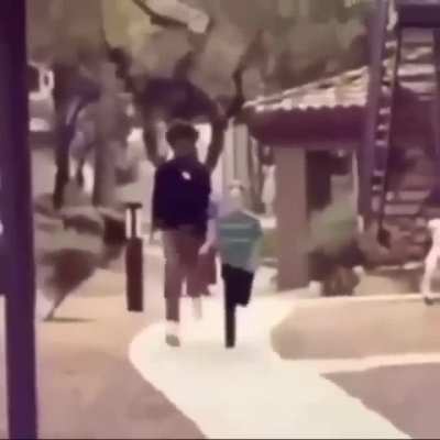 kid took an L