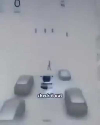 couldn't get the license plate