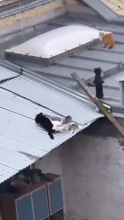 Maybe Maybe Maybe