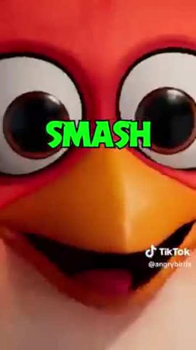 anger birds offical smash or pass