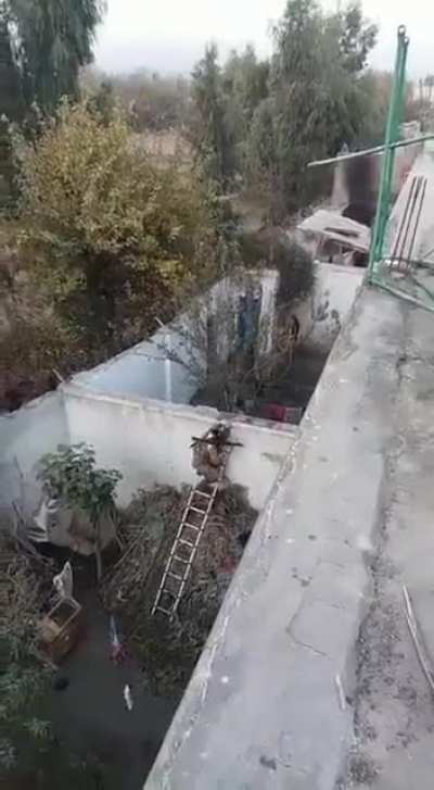 Taliban vs ISIS neighbours