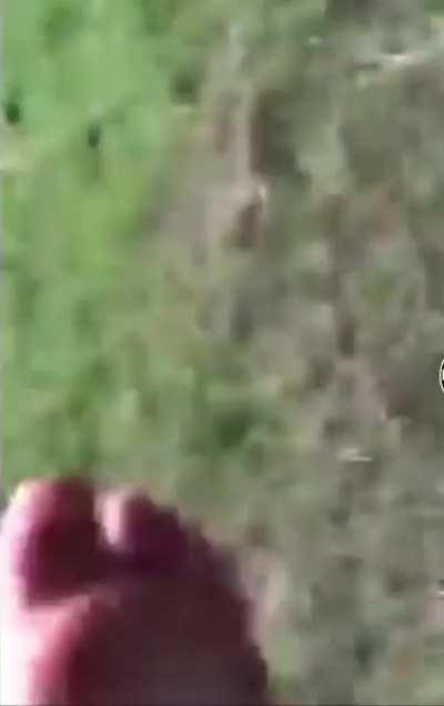 &ldquo;I&rsquo;m dying&rdquo; - Kid who was stung by a wasp