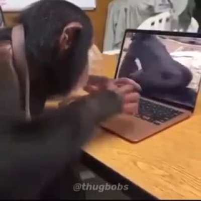 Studen watches porn and gets naked.