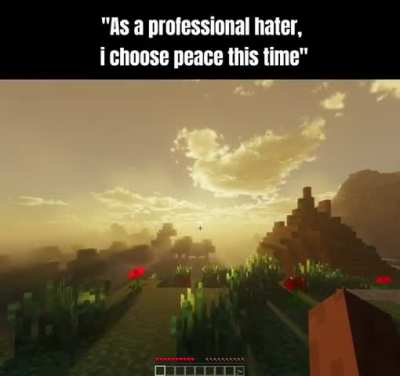 irregular hater