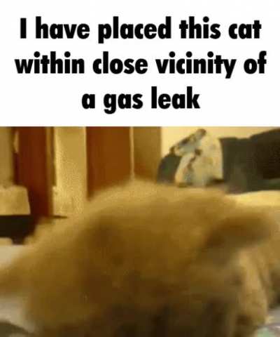he is in great pain
