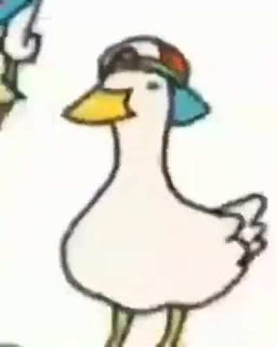 Pato