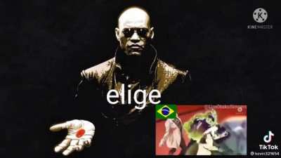 Elijan Pibes