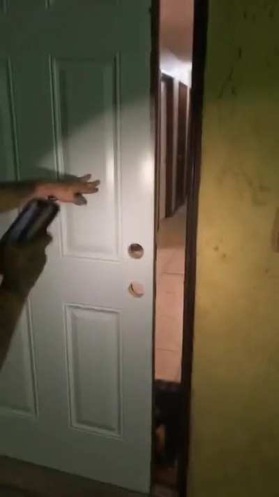 Hung the new door, boss!