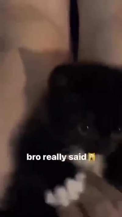 🙀