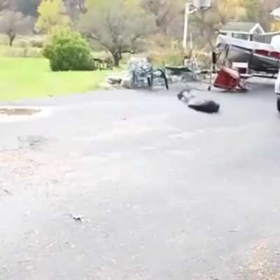 shitposting - Video #1092
