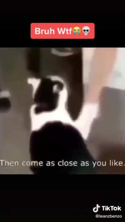 WRYYYYY