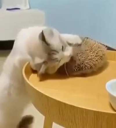 Scratchy