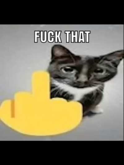 cat grips