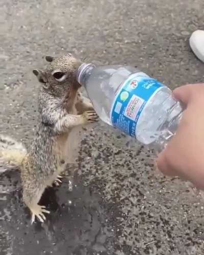 Homies come in all shapes and sizes!
