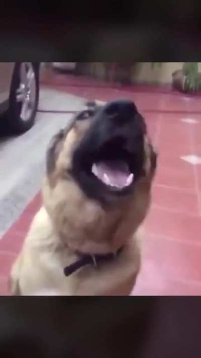 Hey......getthafuck outta here......