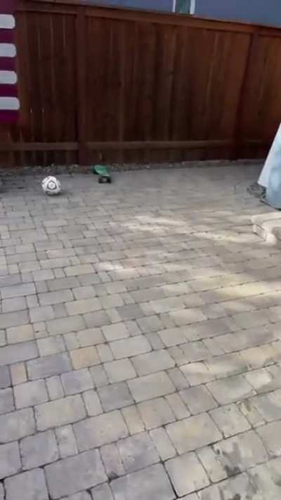 What just happened