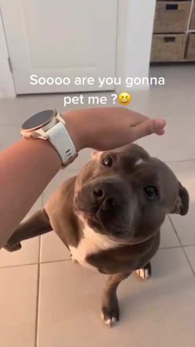 Don’t do him like that