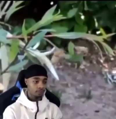 Everybody when pyro makes a video: