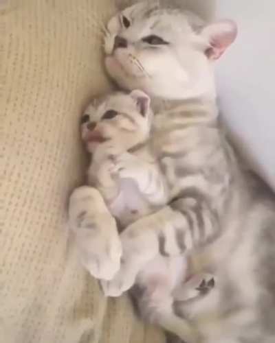 Too cute