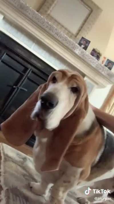 A golden one