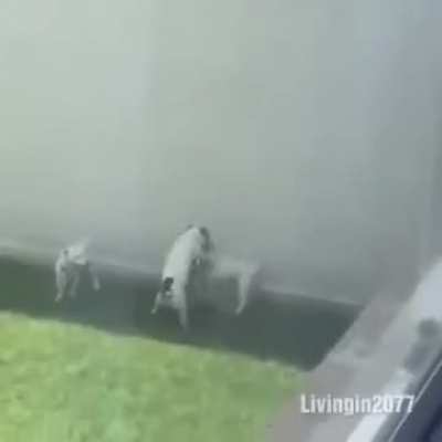 Kkkk... &eacute; muita safadeza 