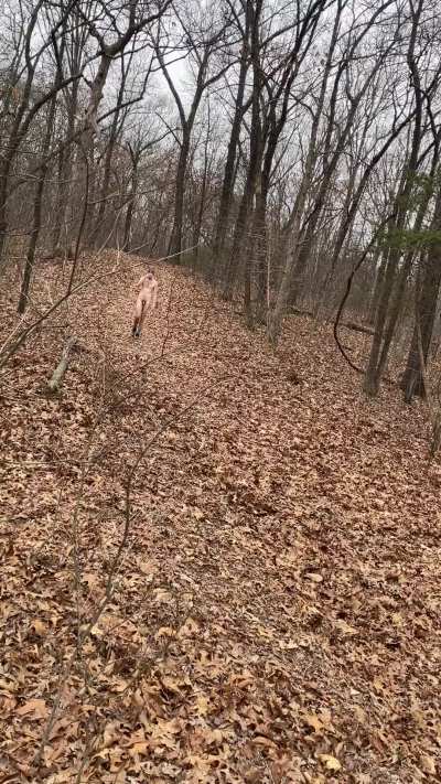 Just your local 7'3" giant enjoying rare early January hikes in the Midwest.