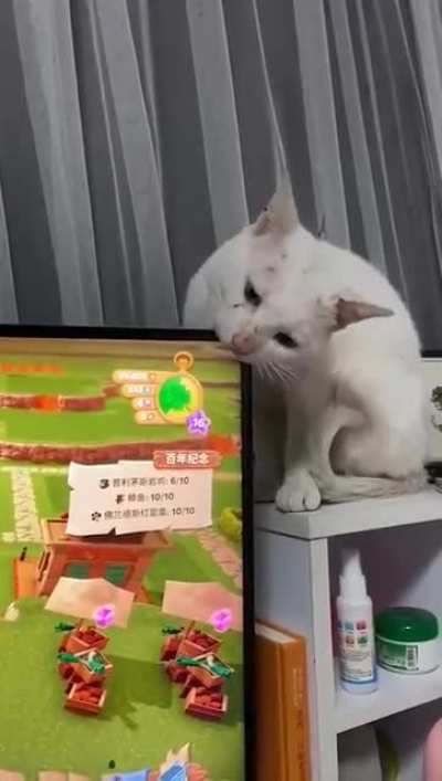 Yum