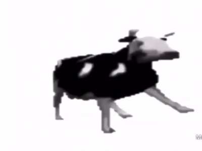 buena vaca ._.