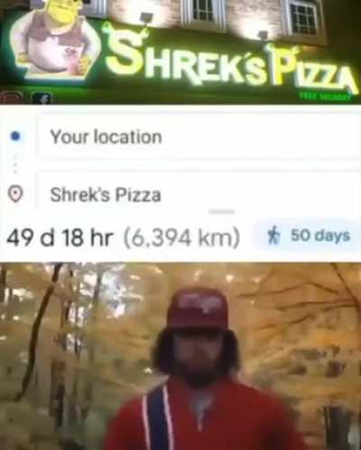 R3p0zT 4r0m sum dum sub but d0 N0T!1! w0rry bout dat N stead eat Shrek's Pizza *rawrs*