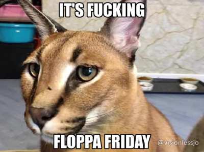 Hold on, is it Friday already 😳 You guys know what that means 😎