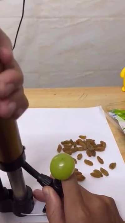 Time for some raisins..