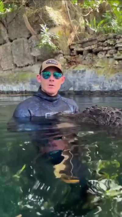 🔥 Why an alligator will kill you