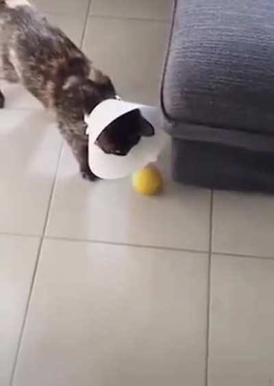 When ping is high