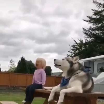 nice vocals