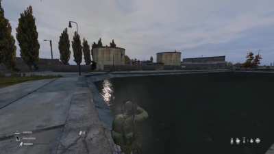 Dayz