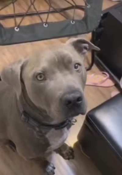 Just a small bite