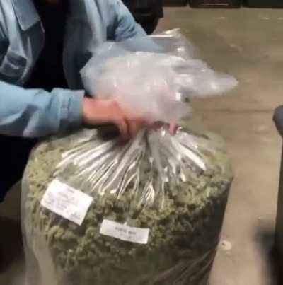 Let&rsquo;s have a pissing contest and talk about what&rsquo;s the most Cannabis you&rsquo;ve ever seen? or (Any cool cannabis related story)