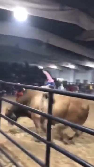 Rodeo clown getting tossed doing the Wilhelm scream to Star Wars cantina music.