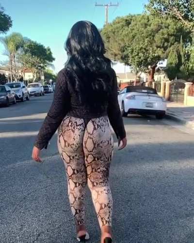 SHAPE