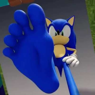 snoc the hog